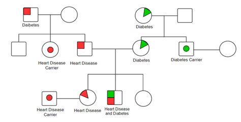 hoe maak je een genogram|Familiegenogram: gedetailleerde uitleg, type en hoe。